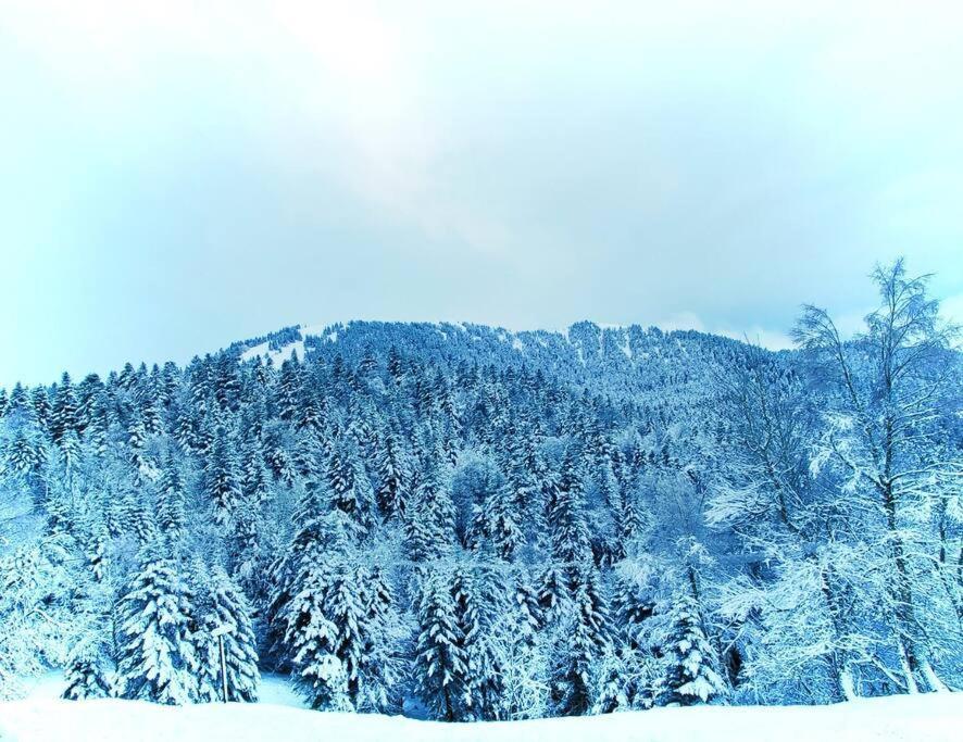 Logement 6 Pers Au Coeur Des Montagnes Pyreneennes Linge De Maison Et Papier Toilette Non Fournis Boutx Kültér fotó