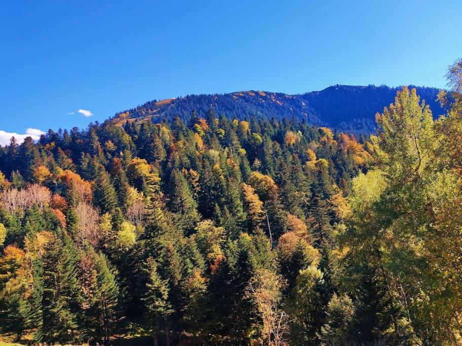 Logement 6 Pers Au Coeur Des Montagnes Pyreneennes Linge De Maison Et Papier Toilette Non Fournis Boutx Kültér fotó
