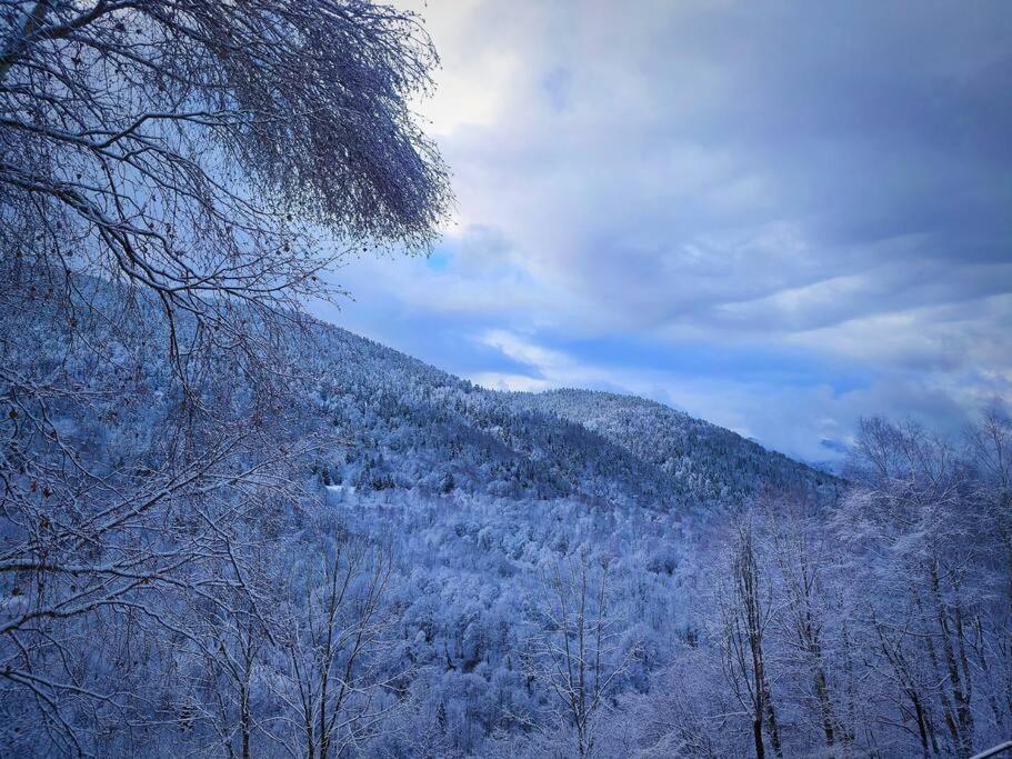 Logement 6 Pers Au Coeur Des Montagnes Pyreneennes Linge De Maison Et Papier Toilette Non Fournis Boutx Kültér fotó